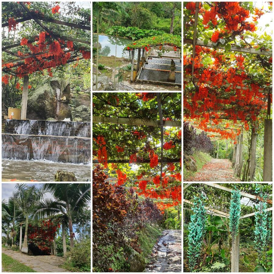 Finca Jardín del Agua Sasaima Exterior foto