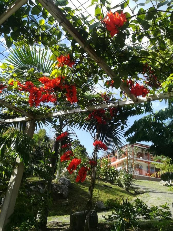 Finca Jardín del Agua Sasaima Exterior foto