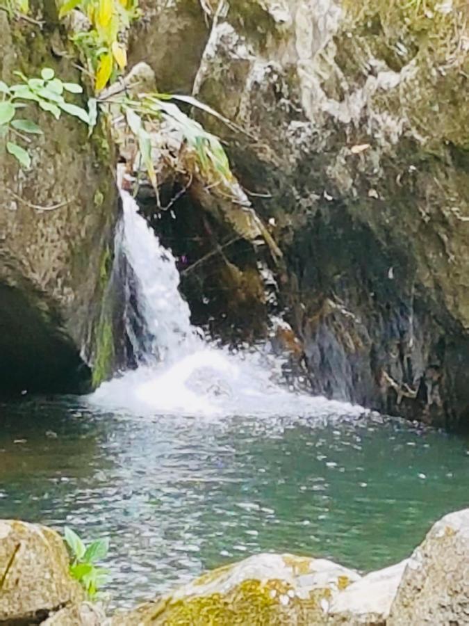 Finca Jardín del Agua Sasaima Exterior foto