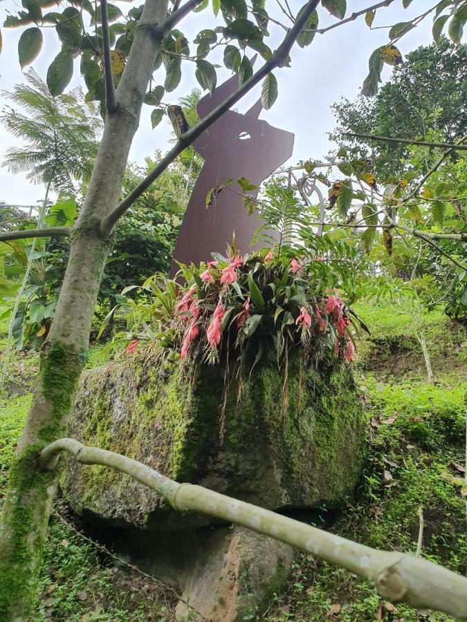 Finca Jardín del Agua Sasaima Exterior foto