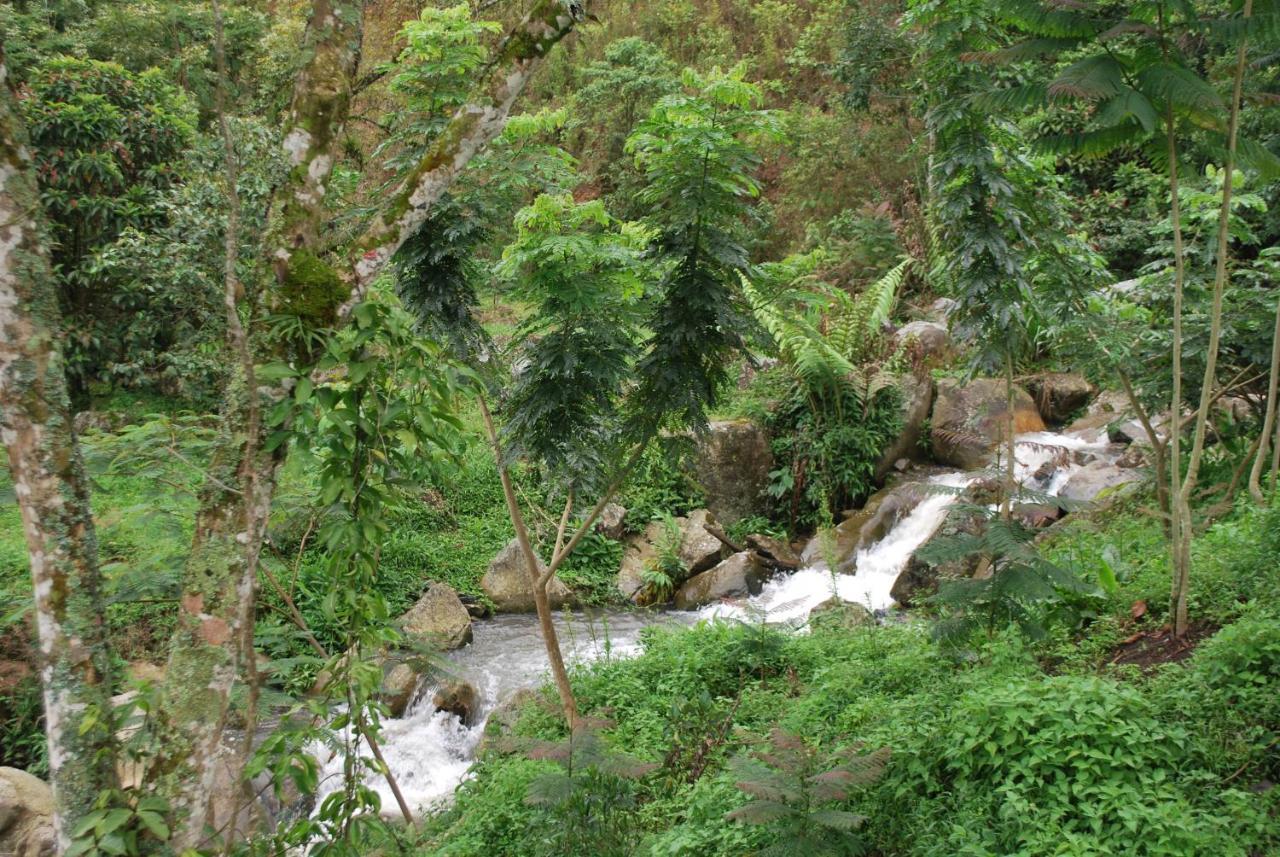 Finca Jardín del Agua Sasaima Exterior foto