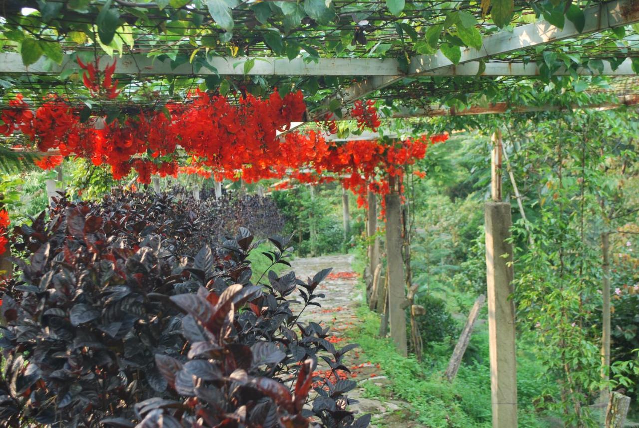 Finca Jardín del Agua Sasaima Exterior foto